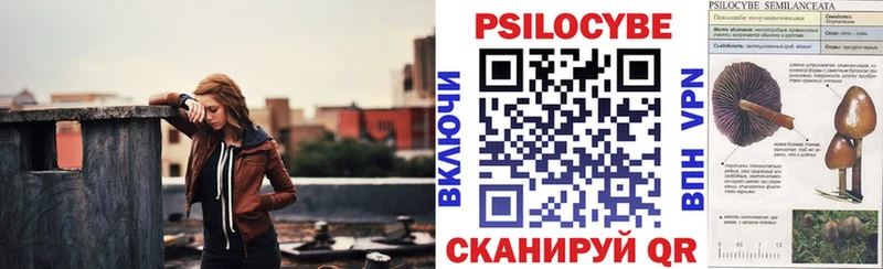 Псилоцибиновые грибы GOLDEN TEACHER Зеленоградск